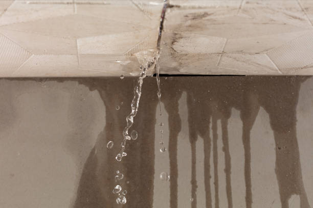 Professional Water Damage Inspection technician working in Bowie, TX